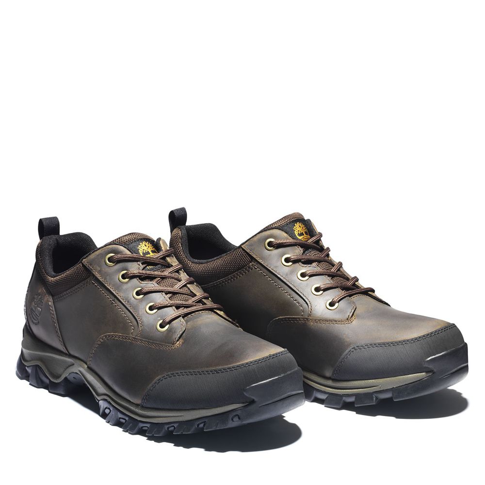 Pantofi De Drumeție Timberland Barbati Maro - Keele Ridge Waterproof - Romania - WCUVZO873